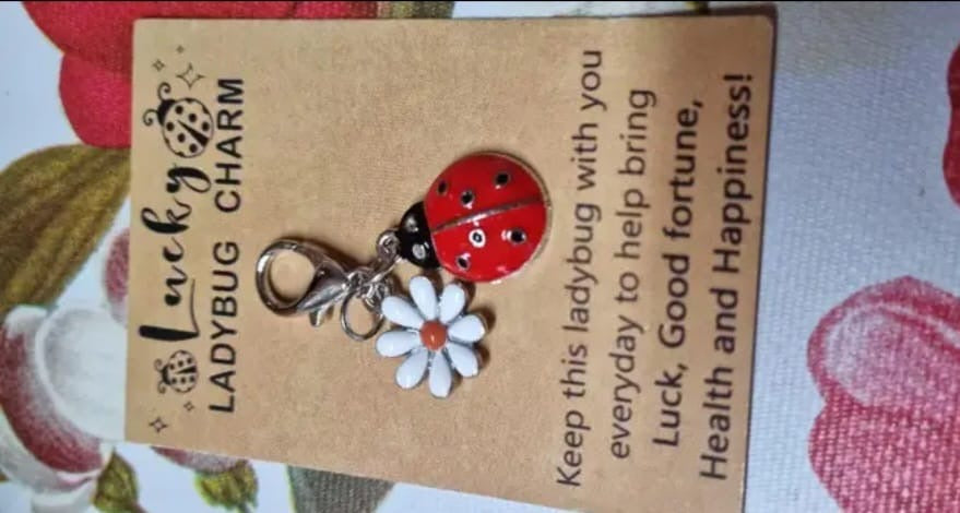 Lucky Ladybug & Daisy Clip-On Charm(1-piece)
